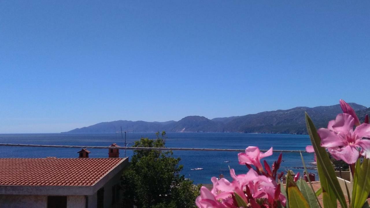 Sebastian House Daire Cala Gonone Dış mekan fotoğraf